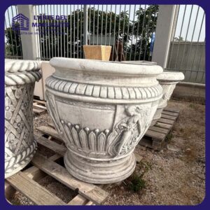 Vaso australe